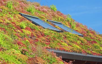 Urmston living roof systems